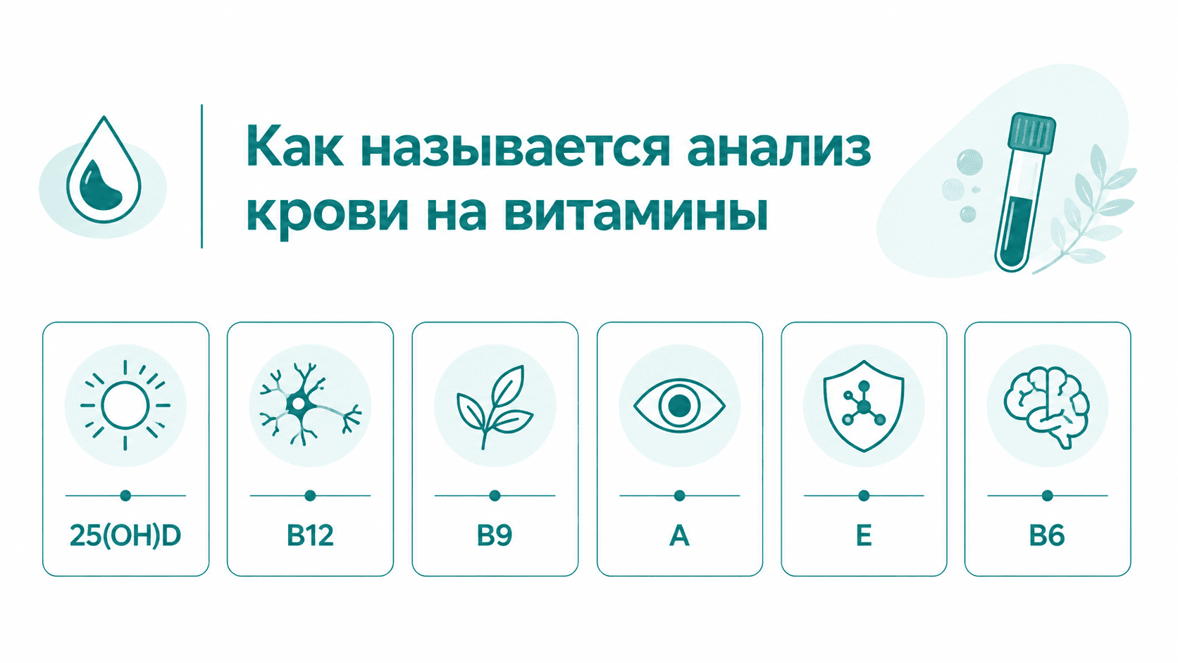Как называется анализ на витамины