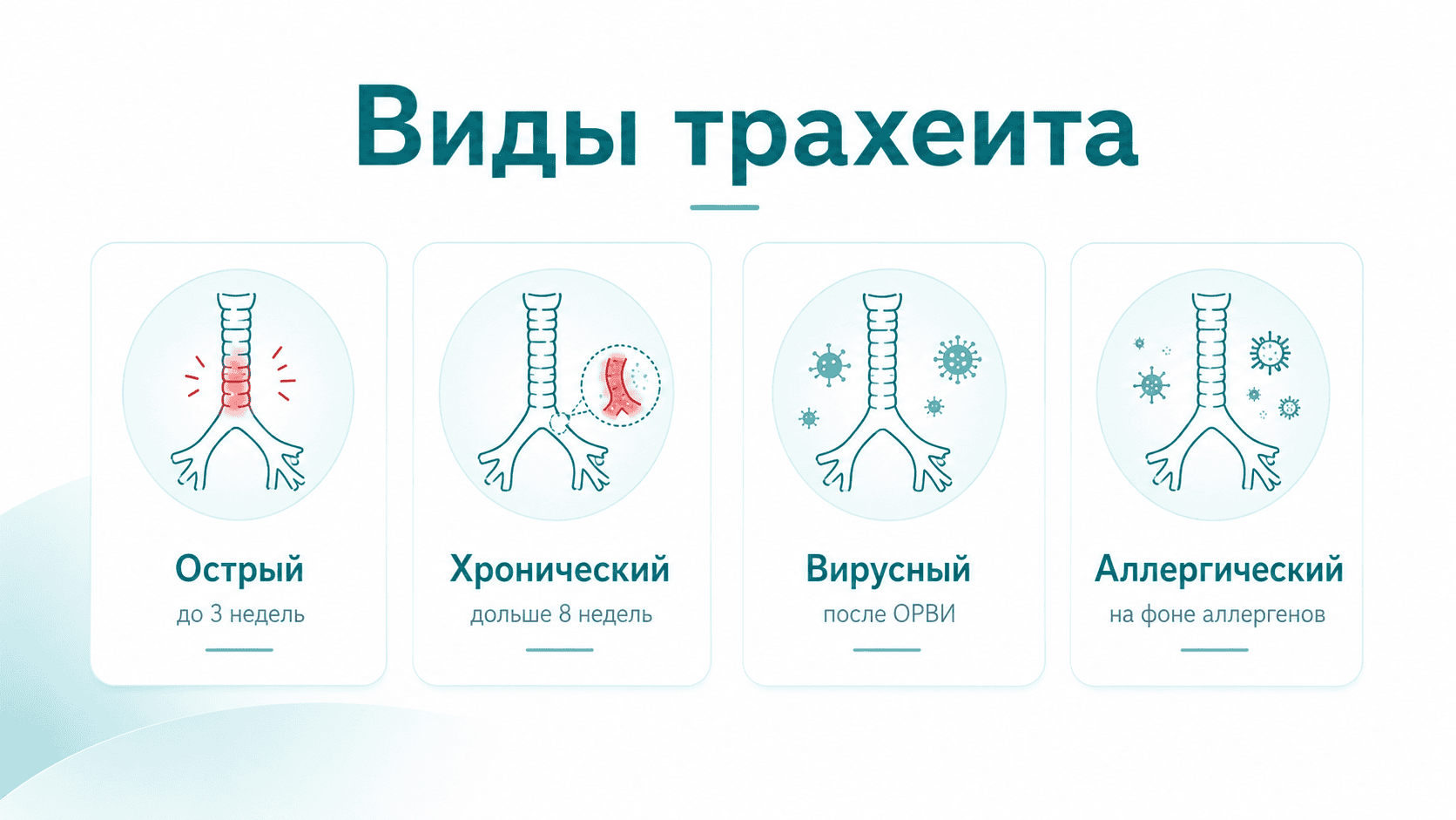 "Виды