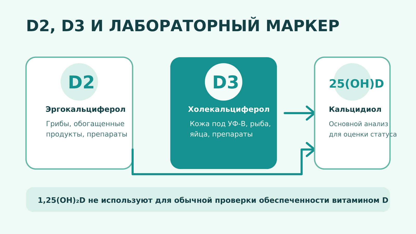 Формы витамина D2, D3 и анализ 25(OH)D